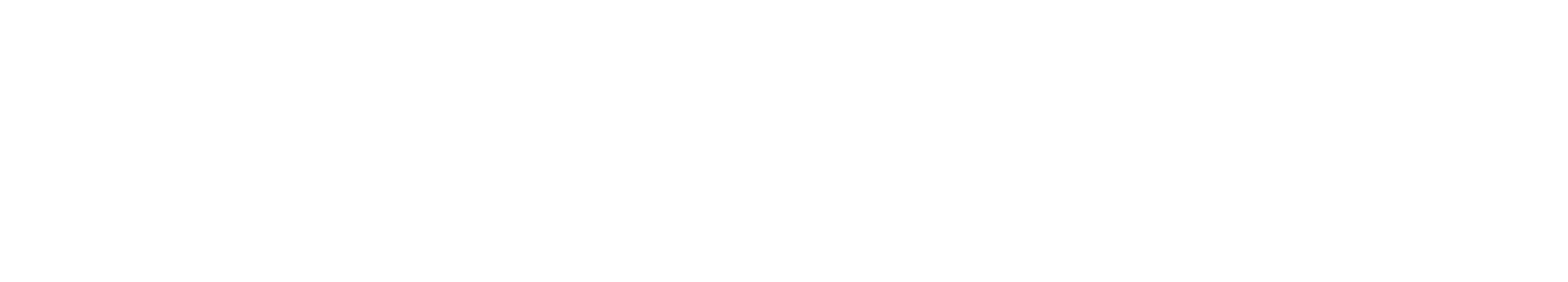 White Logo No Background